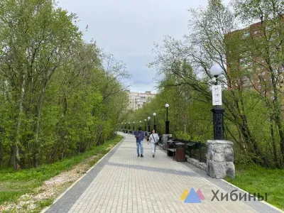 До 52 тысяч рублей получают жители Мурманской области благодаря проекту «Работа рядом»