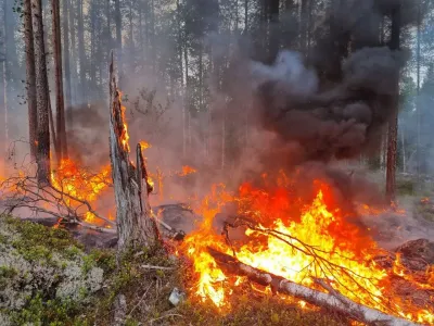 Спасатели из Мурманской области не дали загореться селу в Забайкалье