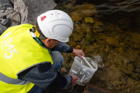 В Ковдозерское водохранилище Мурманской области выпустили почти 3 тысячи мальков сига