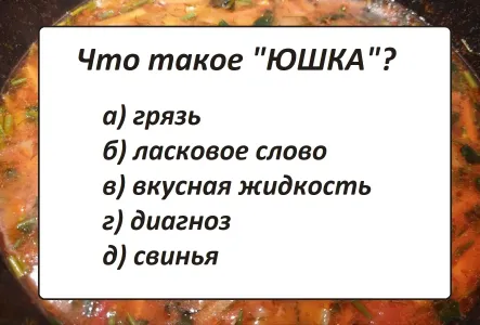 Что такое «юшка»? Даже филологам нужно подумать, а вы попадете в 10% «гуру» русского языка?
