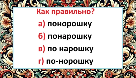Одно слово на диктанте — и мечта о «пятёрке» растаяла как дым: а вы напишете правильно?