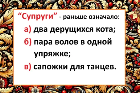Экзамен по русскому: Что означало слово «супруги» на Руси — не зря теперь так называют мужа и жену