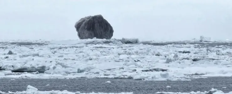 В Лабрадорском море заметили редкий природный объект — абсолютно черный айсберг