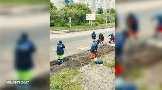 В Мурманске выявили нелегальных рабочих, которые занимались ремонтом дорог