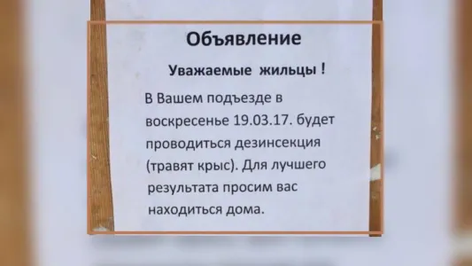 10 объявлений, которые можно читать вместо анекдотов — хоть стой, хоть падай