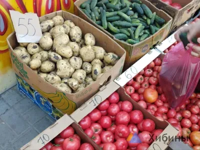 Цены на большинство продуктов в Мурманской области снизились на прошедшей неделе