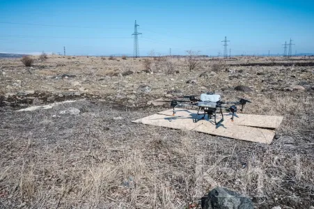 В Мурманской области высаживают деревья с помощью дронов