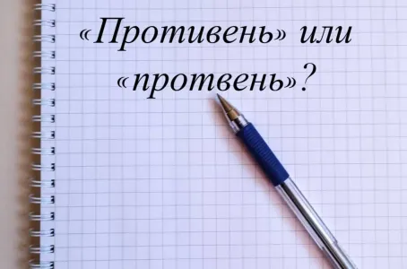 «Противень» или «протвень»? В этом слове ошибаются тысячи людей — как правильно пишется и почему
