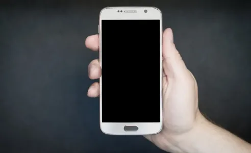 Принял фейковое SMS от «Сбера» — и лишился денег: лучше сохранить номер 900 — и вот почему