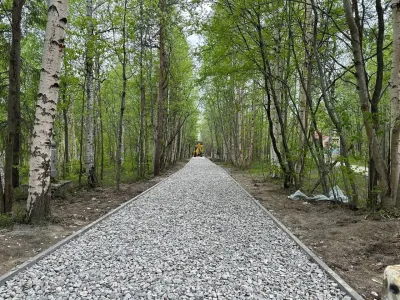 На замену тротуаров в парке имени Бровцева Мурманской области выделили ещё 10 млн рублей