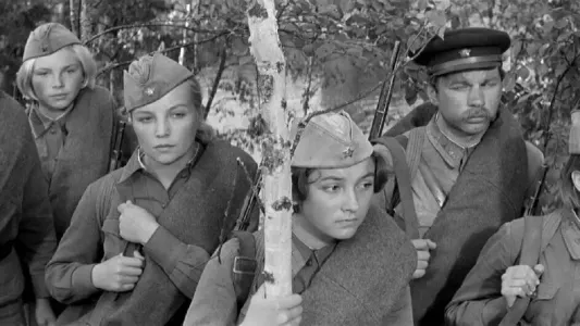 Культовый фильм «А зори здесь тихие» (12+) мог не увидеть свет: судьбу картины предопределил один случай на поле боя