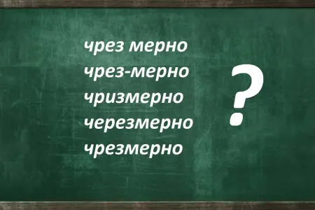 Профаны полезут в словарь, а вас напугает элементарное слово? Кто нашел ошибку — зачет «автоматом»