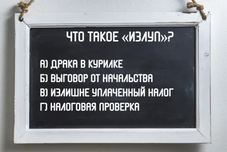Полный «излуп»: значение этого слова знают только бухгалтеры — о чем так говорят между собой в бухгалтерии — сможете догадаться?