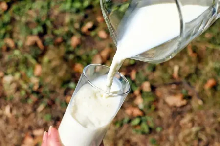 Молоко в пожилом возрасте: названо критичное количество продукта, которое убивает печень