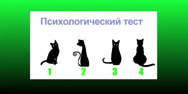 Выберите кошку — и узнайте, почему все вокруг вас бесят: психологический тест — точность до 97%