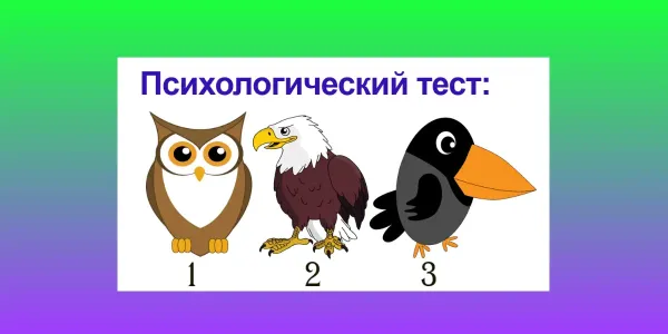 Кто из пернатых вам ближе: сова, орёл или ворон? Ответ укажет, в чем ваша сила