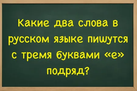 Филологи впали в транс и не могут ответить: назовите 2 слова с тремя буквами «е» подряд — задача под силу только гениям с IQ > 170
