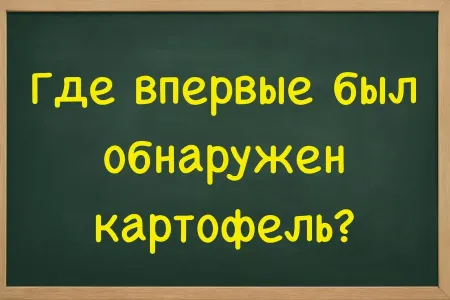 Школьники точно знают ответ — и уже хихикают над замявшимися взрослыми: где впервые был обнаружен картофель?