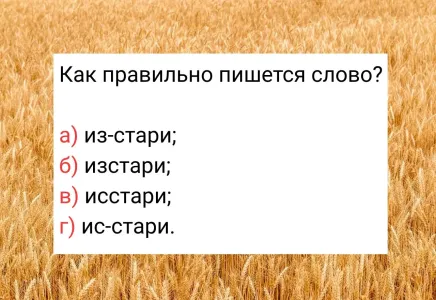 Вы — гуру русского языка, если ответите верно: как правильно пишется слово? На этом тесте теряются даже отличники