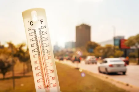 В Европе рекомендуют выбрасывать на помойки кондиционеры для борьбы с жарой — от них только хуже: что предлагают взамен