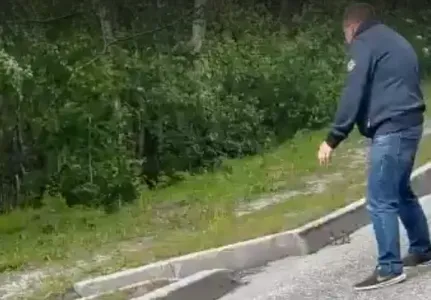 Житель Мурманской области спас утят от гибели на дороге