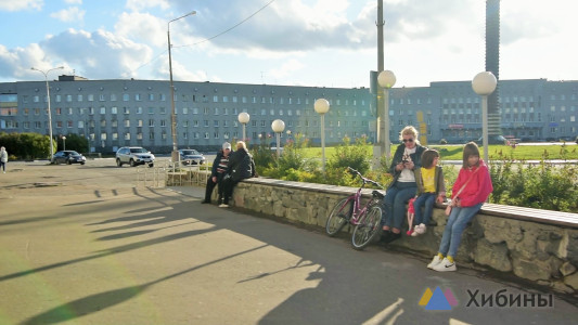 Мурманская область лидирует по программе «Арктический гектар»
