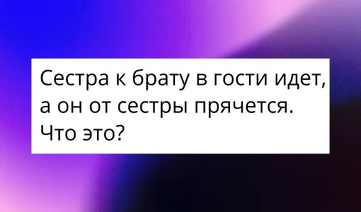 Загадка для самых умных: сестра к брату в гости идет, а он от сестры прячется? Верно отвечают лишь 10% людей