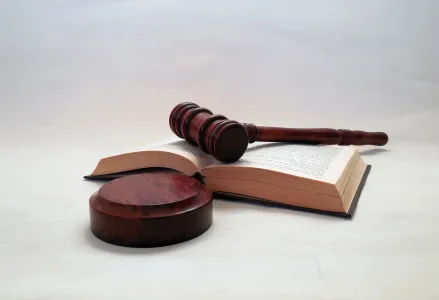 В Мурманской области членам группировки грозит до 5 лет за организацию проституции