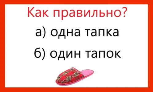 Тест отсеет неграмотных — «одна тапка» или «один тапок»: как сказать правильно на русском языке?