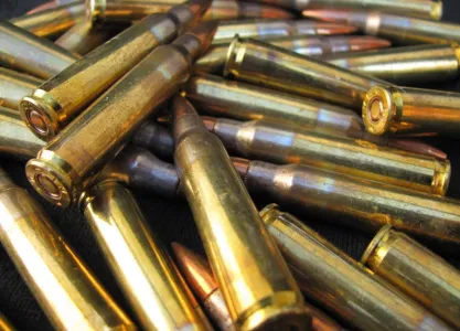 18-летнего жителя Мурманска будут судить за сбыт патронов для Mauser