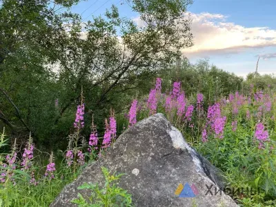 Прогноз погоды в Мурманской области на пятницу, 4 июля