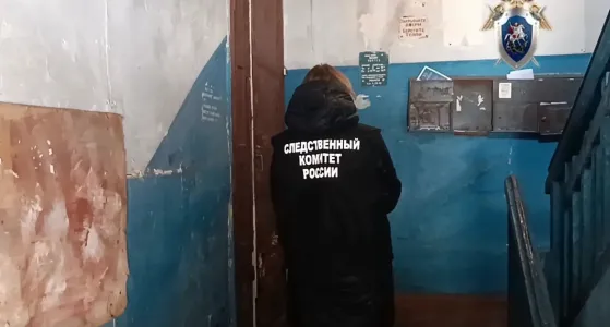 Экс-председателя комитета имущественных отношений Мурманска Александра Стародуба осудили за халатность