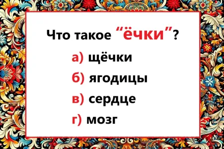 Что такое «ёчки» — угадать сложно, но возможно: включаем чутьё — знатоки языка наугад не отвечают
