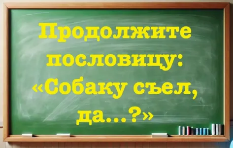 Пословицу полностью знают только умники: «Собаку съел, да… ?» Докажите свою гениальность — назовите окончание