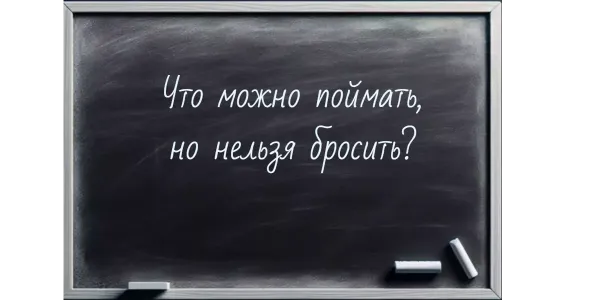 Загадка для Эйнштейнов: Что можно поймать, но нельзя бросить?
