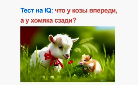 Загадка для уникумов с IQ от 110: Что у козы впереди, а у хомяка сзади?