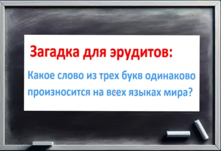 Это не то, что вы подумали: Какое слово из трех букв произносится одинаково на всех языках мира?