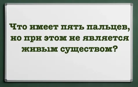 Учитель биологии удивлен: что имеет 5 пальцев, но при этом не является живым существом? Если знаете, вы — точно эрудит