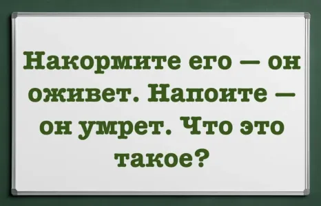 Школьная загадка приводит в ступор взрослых: накормите его — он оживет, напоите его — он умрет. Что это? Верно отвечают только люди с IQ > 160