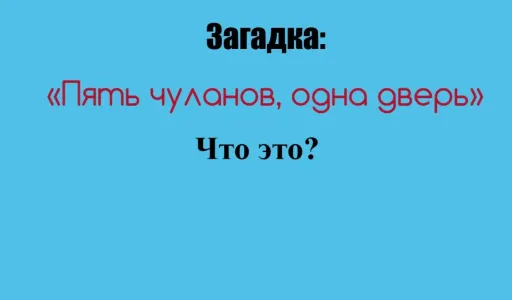 «Зеленые первоклашки» отвечают с лету, а взрослые — в ступоре: отгадайте загадку «Пять чуланов, одна дверь» — что это?