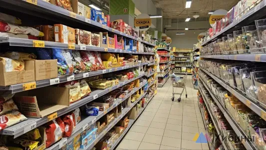 Жители Мурманской области потратили в магазинах 115,5 млрд рублей за первые пять месяцев этого года
