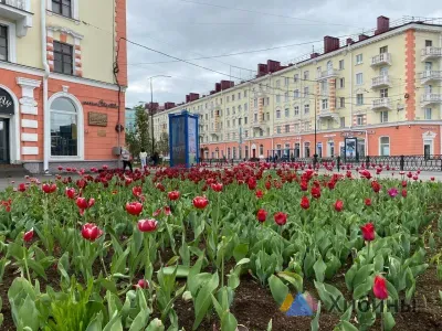 Стало известно, кто вошёл в состав архитектурного совета Мурманской области