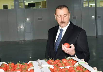 Аналитик Гулиев: В Азербайджане обеспокоены возможной приостановкой ввоза фруктов и овощей в Россию — что будет с ценами