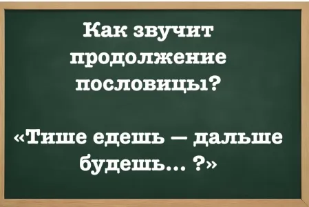 Часто используете пословицу, а изначальный смысл у нее другой: продолжите фразу «Тише едешь —дальше будешь…» — справятся только отличники учебы