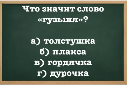 Обзовут «гузыней» — будет обидно: что значит это слово — знают только истинные знаки русского языка
