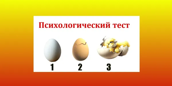 Выберите яйцо — узнаете о себе то, о чем и не догадывались: результат теста удивит