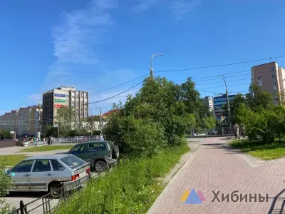На покос травы в трёх округах Мурманска направят 5 млн рублей