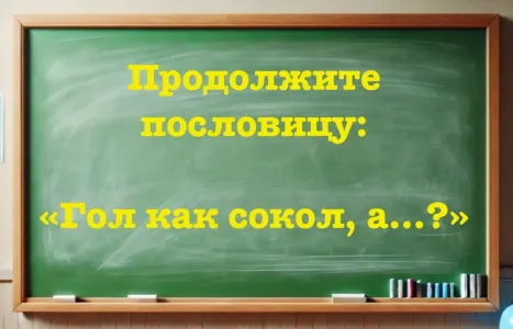 Меткое продолжение пословицы знают только знатоки языка — блесните умом и закончите фразу: «Гол как сокол, а… ?»