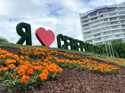 Вазоны с петуниями установили на улицах Североморска