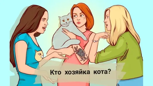 Кто хозяйка кота: только детективы справятся с загадкой — а вы готовы проверить свое аналитическое мышление?